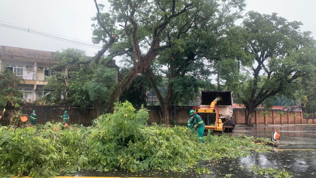 A imagem mostra uma equipe de trabalhadores em um dia chuvoso limpando os restos de uma árvore caída. Eles estão usando equipamentos de segurança, como capacetes e coletes verdes, e um triturador de galhos está posicionado próximo a um caminhão. A cena ocorre em uma área urbana, com um prédio ao fundo e árvores verdes ao redor. A chuva é visível, com gotas caindo e o asfalto molhado refletindo a luz. Há galhos e troncos espalhados pelo chão, indicando o trabalho de remoção e descarte.