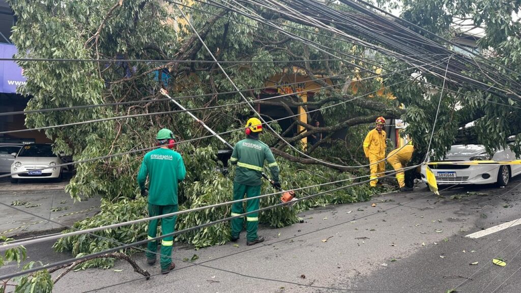 A imagem mostra uma cena de destruição após um evento climático, possivelmente uma tempestade. Uma árvore de grande porte caiu sobre uma rua, bloqueando o trânsito e danificando a fiação elétrica que cruza a via. Várias pessoas, vestindo uniformes de trabalho, estão no local avaliando os danos e iniciando os trabalhos de remoção dos destroços. Duas pessoas vestem uniformes verdes com o logo "ENGEMAIA", uma delas parece estar com uma motosserra, indicando o início do corte da árvore. Outras duas pessoas vestem macacões amarelos, possivelmente pertencentes a uma equipe de emergência ou de serviços públicos. Um carro branco está parcialmente coberto por galhos e fita de isolamento amarela, sugerindo que foi atingido pela queda da árvore. A fiação elétrica está espalhada pela rua, representando um perigo iminente. O asfalto está molhado e há folhas e galhos espalhados por toda a área, indicando a força do evento que causou a queda da árvore. Ao fundo, pode-se ver a fachada de alguns estabelecimentos comerciais.