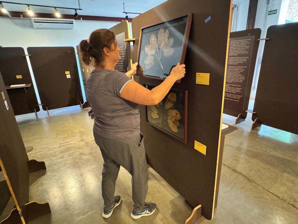 A mulher, vista de costas, está em uma exposição, ajustando um quadro com uma folha seca prensada. Ela usa uma camiseta cinza, calças de moletom cinzas e tênis brancos com detalhes azuis. O quadro, com uma moldura escura, está pendurado em um painel marrom, assim como outro quadro menor abaixo dele. Há outros painéis de exposição ao redor, alguns com textos informativos. O ambiente parece ser um museu ou galeria, com piso de concreto e iluminação artificial. Uma placa de "SAÍDA" está visível ao fundo, à direita.