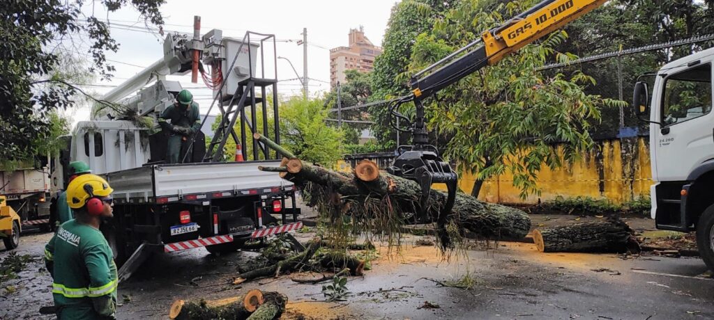 A imagem mostra uma equipe de trabalhadores removendo uma árvore caída em uma área urbana. Um caminhão com cesto aéreo está posicionado, com um trabalhador dentro do cesto, aparentemente manuseando equipamentos. Outro caminhão, equipado com um guindaste e garra, está levantando um grande tronco de árvore. Vários troncos e galhos de árvore estão espalhados pelo chão, indicando que a árvore foi significativamente desmembrada. Os trabalhadores estão usando equipamentos de segurança, como capacetes e coletes. Ao fundo, prédios e vegetação sugerem um ambiente residencial ou comercial. A cena transmite a ideia de um trabalho de remoção de árvores em andamento, possivelmente após uma tempestade ou por questões de segurança.