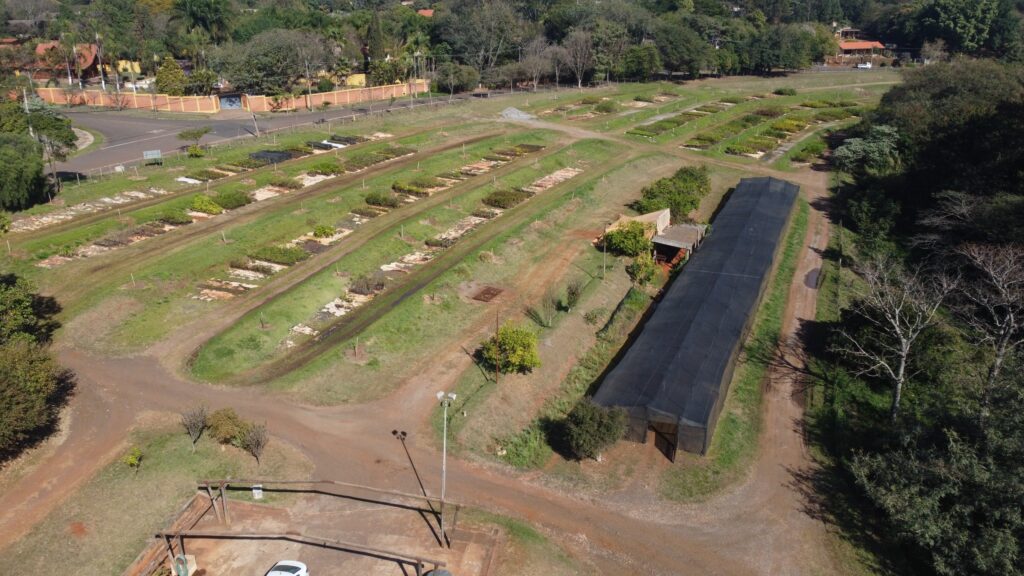 A imagem aérea revela um viveiro de plantas com várias fileiras de mudas dispostas em canteiros. Ao lado dos canteiros, há uma estufa longa e escura, provavelmente utilizada para proteger as plantas mais sensíveis.Um caminho de terra batida serpenteia pelo viveiro, conectando as diferentes áreas. Em primeiro plano, observa-se uma estrutura de madeira com um telhado parcial, possivelmente um local de descanso ou armazenamento. Ao fundo, casas com telhados vermelhos e muros laranjas indicam a proximidade de uma área residencial. A vegetação ao redor é exuberante, com árvores altas e densas que emolduram a paisagem.