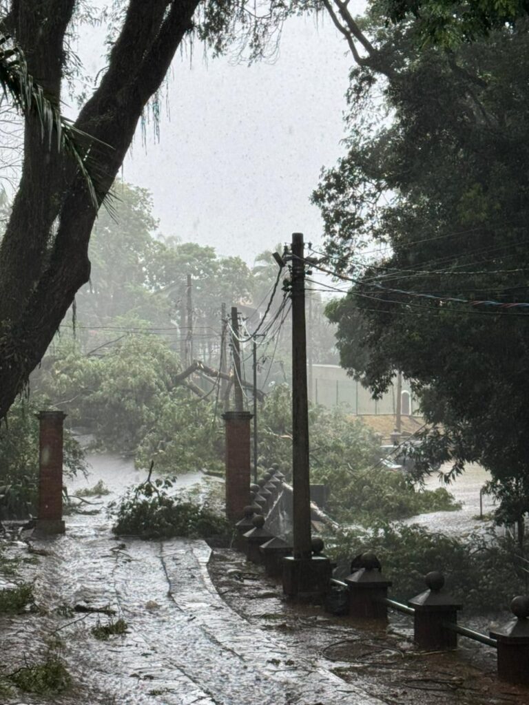 A imagem retrata um cenário de destruição após um forte temporal. A chuva intensa é visível, caindo em gotas finas que criam um véu sobre a paisagem. Árvores de grande porte foram derrubadas, com galhos espalhados por toda parte, bloqueando um caminho de pedras molhadas. Postes de eletricidade e fios também parecem ter sido afetados, com alguns deles pendurados de forma precária. A vegetação densa ao redor sugere que o local é uma área arborizada, possivelmente um parque ou jardim. A atmosfera geral é de desolação e caos, com a natureza demonstrando sua força avassaladora.