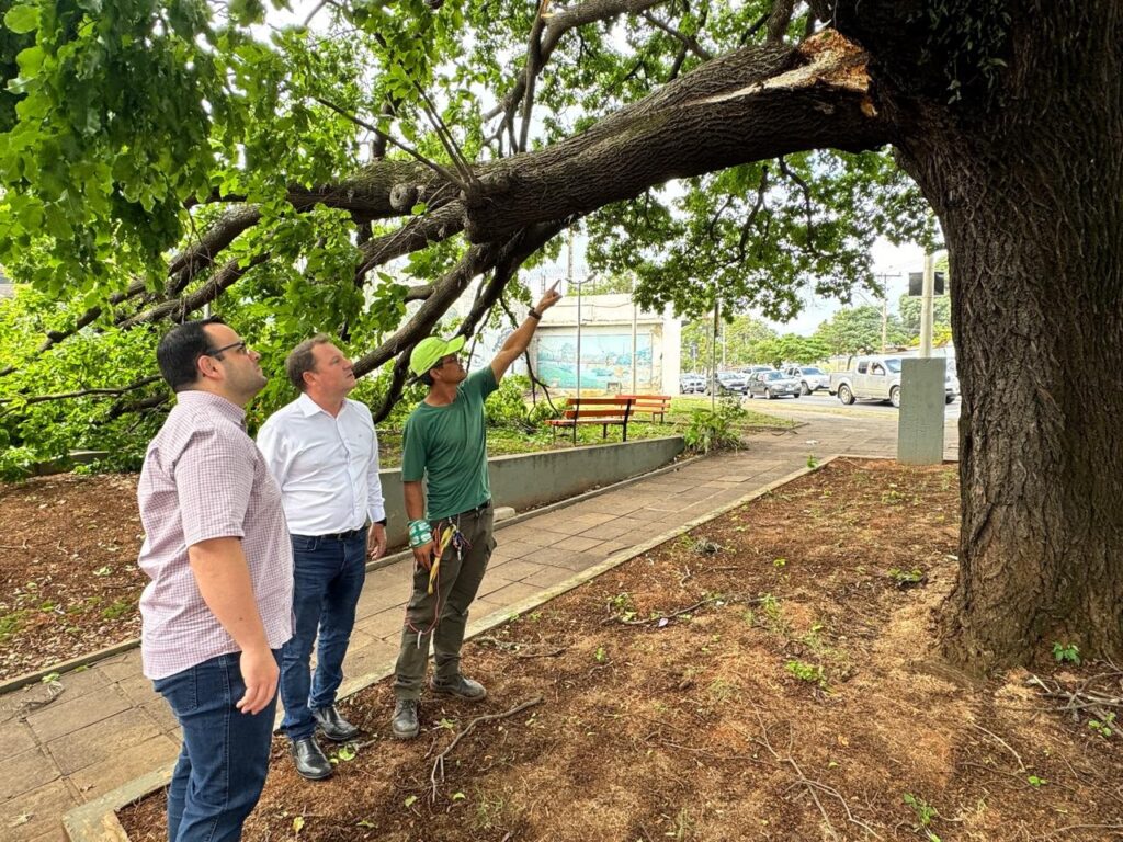 A imagem mostra três homens inspecionando um grande galho de árvore quebrado e caído. O galho está pendurado precariamente, com a madeira exposta onde se partiu. Os homens parecem estar avaliando os danos e possivelmente discutindo os próximos passos. Um homem, vestindo uma camisa quadriculada e óculos, está à esquerda, olhando para cima para o galho. Ao lado dele, um homem em uma camisa branca e jeans também olha para cima. O terceiro homem, vestindo uma camisa verde e um boné verde, está mais à direita e aponta para a parte quebrada do galho. Ele parece ser um profissional, possivelmente um arborista ou jardineiro, dado o seu vestuário e equipamentos de escalada visíveis na cintura. O cenário parece ser um parque ou uma área pública com um caminho de pedras e um banco ao fundo. Há carros e edifícios visíveis ao longe, sugerindo que a cena está em uma área urbana ou suburbana. O chão ao redor da árvore está coberto com folhas e detritos, indicando que o galho pode ter caído recentemente, talvez devido a uma tempestade.
