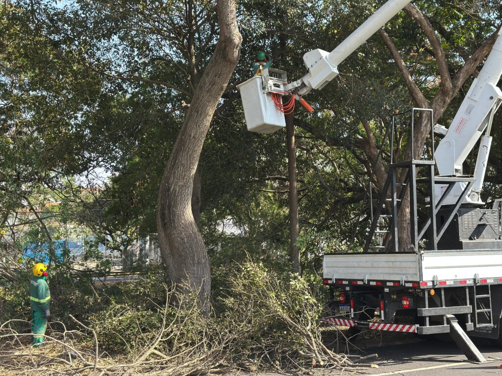A imagem mostra uma cena de poda de árvores em uma área externa, possivelmente urbana, com uma árvore grande e robusta em destaque. * Um trabalhador, vestindo uniforme verde e capacete amarelo, está posicionado no chão, próximo à base da árvore. Ele parece estar observando a operação. * Uma plataforma elevatória, montada em um caminhão, está posicionada ao lado da árvore. Na cesta da plataforma, há um trabalhador, também equipado com EPIs, realizando a poda. Vários cabos laranjas estão visíveis na cesta. * O chão ao redor da árvore está coberto de galhos e folhas podados, indicando que o trabalho de remoção de vegetação está em andamento. * Ao fundo, é possível ver outras árvores e uma estrutura que se assemelha a uma cerca ou muro, com alguns prédios ao longe. O céu está visível entre as copas das árvores, sugerindo um dia claro. * O caminhão com a plataforma elevatória é um elemento central na imagem, demonstrando a tecnologia utilizada para alcançar as partes mais altas da árvore. A parte traseira do caminhão, com placa e sinalização, também está visível.