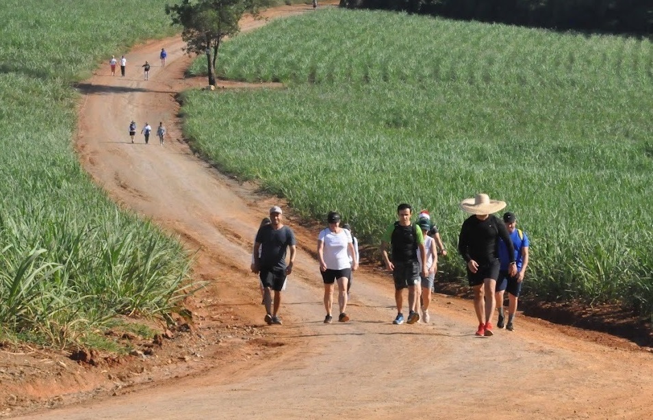 A imagem mostra um grupo de pessoas caminhando em uma estrada de terra cercada por vegetação verde alta. O caminho sinuoso se afasta em direção a uma colina, com mais pessoas visíveis ao longe. O sol parece estar alto, projetando sombras curtas no chão. A vegetação ao longo da estrada sugere um ambiente rural ou agrícola, possivelmente um campo de cana-de-açúcar ou milho.