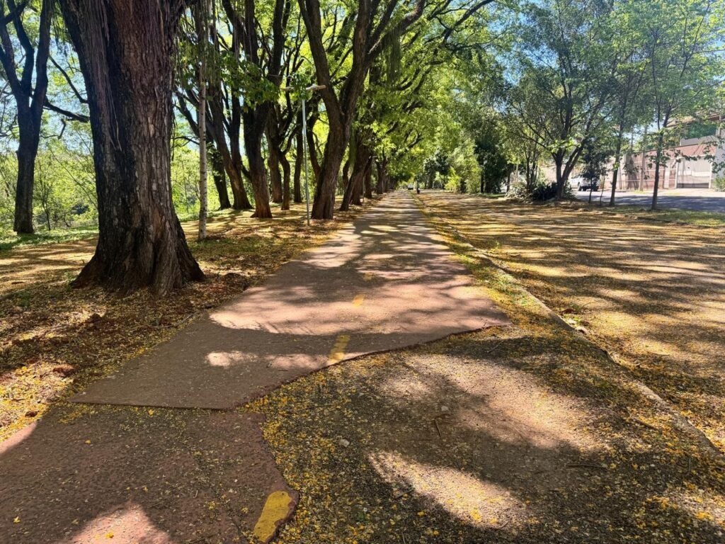 A imagem mostra um caminho de asfalto com uma linha amarela pintada, ladeado por árvores frondosas e uma calçada. A luz do sol atravessa as folhas das árvores, criando um padrão de sombras no caminho e na calçada. Há folhas amarelas espalhadas pelo chão, sugerindo que pode ser outono ou que as árvores estão em flor. Ao fundo, é possível ver alguns edifícios e um carro estacionado, indicando que este caminho está localizado em uma área urbana ou suburbana. A atmosfera geral da imagem é serena e natural, convidando à caminhada ou ao ciclismo.