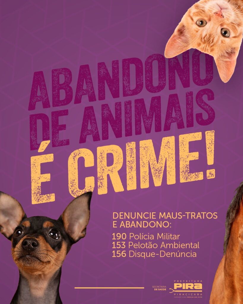 A imagem é um pôster de conscientização sobre o abandono e maus-tratos de animais, com o slogan principal "ABANDONO DE ANIMAIS É CRIME!". O fundo é roxo com um padrão geométrico sutil. Na parte superior, um gato laranja aparece de cabeça para baixo, olhando para a câmera. Na parte inferior esquerda, um cão pequeno e de pelo curto, com orelhas pontudas e olhos expressivos, também olha para o espectador. Na parte inferior direita, parte do corpo de um cavalo marrom é visível. O texto principal em letras grandes e estilizadas, com textura granulada, diz: "ABANDONO DE ANIMAIS É CRIME!". Abaixo, em letras menores, há um chamado para denúncia: "DENUNCIE MAUS-TRATOS E ABANDONO:", seguido por uma lista de contatos: "190 Polícia Militar", "153 Pelotão Ambiental" e "156 Disque-Denúncia". No canto inferior direito, encontram-se os logotipos da "PREFEITURA DE PIRACICABA" e da "SECRETARIA DE SAÚDE", com o slogan "FAZENDO O QUE PRECISA SER FEITO".