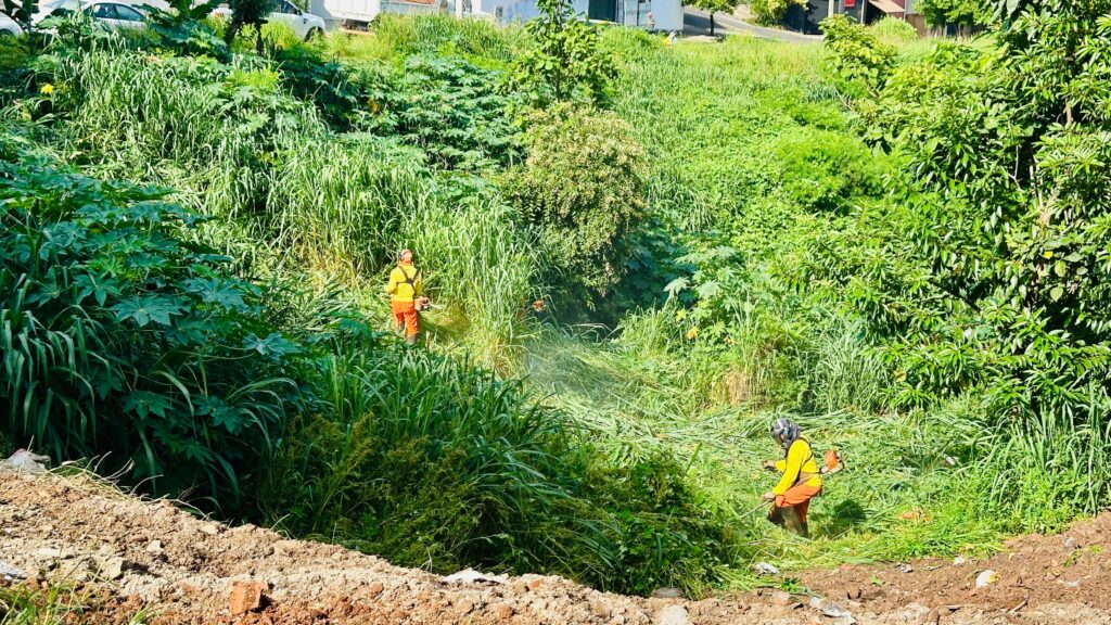 A imagem mostra dois trabalhadores em um terreno verde e inclinado, utilizando roçadeiras para cortar a vegetação alta e densa. Ambos vestem uniformes de camisa amarela e calça laranja, atuando na limpeza e manutenção do espaço. Ao fundo, é possível ver casas e carros estacionados, indicando que a atividade ocorre próxima a uma área residencial.