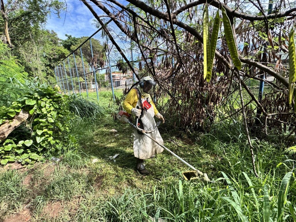 A imagem mostra uma pessoa usando um aparador de grama para cortar a vegetação em uma área externa. A pessoa está vestida com roupas de proteção, incluindo um capacete com viseira, um macacão amarelo e um avental claro. O aparador de grama é vermelho e branco, e a pessoa está segurando-o com as duas mãos, direcionando a cabeça de corte para a grama alta e densa. O ambiente é um pouco selvagem, com muitas plantas verdes crescendo ao redor. Há uma árvore caída à esquerda, coberta por trepadeiras. Ao fundo, pode-se ver uma cerca de arame azul e algumas construções residenciais. O céu está parcialmente nublado, com um azul claro visível entre as nuvens. Galhos e folhas de árvores com vagens verdes penduradas cobrem a parte superior da imagem, criando uma sensação de profundidade e textura. A luz do sol ilumina a cena, destacando a grama recém-cortada e a vegetação circundante.