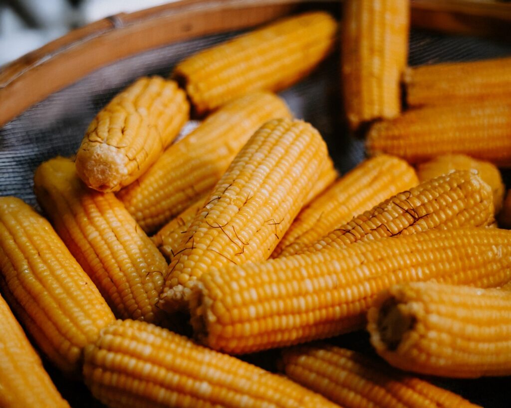 A imagem mostra várias espigas de milho amarelo empilhadas dentro de uma cesta de madeira com fundo de tela fina. As espigas estão sem a palha, revelando os grãos amarelos brilhantes, e algumas ainda têm fios de seda escura presos. A iluminação é suave e natural, destacando o tom dourado do milho. A cesta parece rústica, sugerindo um ambiente tradicional, possivelmente uma feira, cozinha ou mercado. A foto é tirada de cima, em um ângulo levemente inclinado, com foco no centro das espigas, enquanto as bordas estão um pouco desfocadas, criando um efeito de profundidade