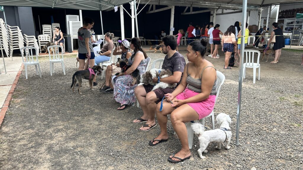 A imagem mostra um grupo de pessoas sentadas em cadeiras plásticas brancas sob uma cobertura, cada uma acompanhada de seu cachorro. O ambiente é externo, com chão de pedrinhas. Ao fundo, outras pessoas e cães estão em pé, interagindo, e há pilhas de cadeiras encostadas em uma parede, sugerindo uma estrutura temporária.