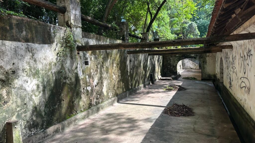 A imagem mostra um corredor externo estreito, delimitado por uma parede alta de concreto à esquerda e um edifício com telhado de telhas à direita. A parede está desgastada, com manchas de umidade e musgo, evidenciando o tempo e a exposição ao clima. Entre a parede e o edifício, há grandes vigas de madeira que atravessam o espaço, provavelmente para sustentação ou reforço estrutural. O chão é de concreto e está coberto por folhas secas e pequenos galhos acumulados. Ao fundo, é possível ver uma porta arqueada que dá acesso a outro espaço, cercado por vegetação verde e árvores, sugerindo que o local está em meio a um ambiente natural ou jardim. A iluminação é forte e direta, criando sombras marcantes no chão, o que indica que a foto foi tirada durante o dia, em um dia ensolarado. Não há pessoas na cena, e algumas pichações pretas aparecem na parede do edifício, dando um aspecto urbano ao local. A combinação da arquitetura antiga, o desgaste e a vegetação cria um ambiente que parece histórico e um pouco abandonado, mas ainda cheio de vida pela natureza ao redor.