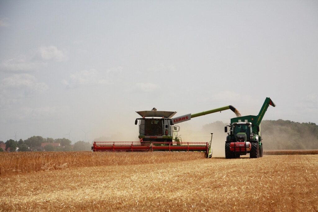 A imagem mostra uma cena agrícola durante a colheita em um vasto campo de trigo maduro, de cor dourada. À esquerda, há uma colheitadeira grande da marca CLAAS, com as cores verde e vermelho, em operação, cortando o trigo. A colheitadeira está equipada com um cabeçote largo e vermelho para recolher o cereal. À direita, um trator verde puxa um reboque da marca HAWE, que está sendo carregado com o grão pela colheitadeira através de um tubo de descarga estendido. O céu está claro, porém com uma leve névoa ou poeira levantada pela colheita, dando um aspecto difuso à luz do dia. Ao fundo, é possível ver uma linha de árvores e algumas construções pequenas, sugerindo uma área rural. A cena transmite a ideia de uma colheita moderna e mecanizada, típica da agricultura industrial.