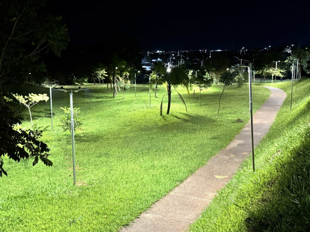A imagem mostra um parque à noite, iluminado por postes de luz modernos com painéis solares e lâmpadas LED. O gramado verde ocupa a maior parte do primeiro plano e centro da imagem, com um caminho de pedra que serpenteia da parte inferior direita em direção ao fundo. Vários postes de luz finos e metálicos estão espalhados pelo parque, emitindo uma luz branca e fria que cria áreas iluminadas no gramado e destaca as texturas das folhas das árvores ao redor. Há diferentes tipos de árvores, incluindo palmeiras pequenas e árvores jovens com folhas verdes. Ao fundo, vê-se uma linha de árvores mais densas que formam uma espécie de barreira natural, e além delas, as luzes de uma cidade ou edifícios ao longe. O céu está escuro, sem estrelas visíveis, e a iluminação cria um contraste marcante entre as áreas claras e as sombras profundas sob as árvores. A imagem transmite uma sensação de tranquilidade e modernidade, sugerindo um espaço público bem cuidado e seguro para caminhadas noturnas.
