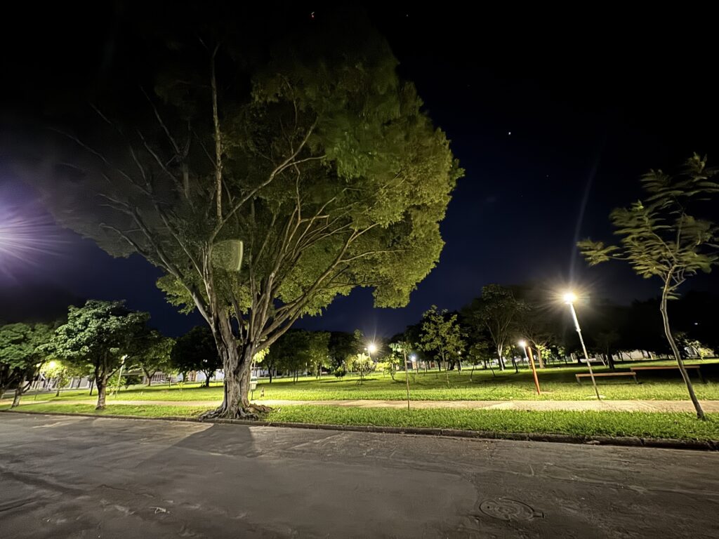 A imagem mostra uma cena noturna em um parque urbano. No centro, há uma grande árvore de copa larga, iluminada por luzes artificiais que realçam o verde das folhas e da grama ao redor. A iluminação é quente, vinda de postes de luz que criam efeitos de brilho em forma de estrelas. No primeiro plano, há uma estrada pavimentada, e um caminho de concreto corta a grama, levando a bancos ao fundo. O céu está escuro e limpo, com poucas estrelas visíveis, conferindo uma atmosfera tranquila e serena ao local. A composição transmite uma sensação de calma e paz, típica de um parque bem cuidado à noite.