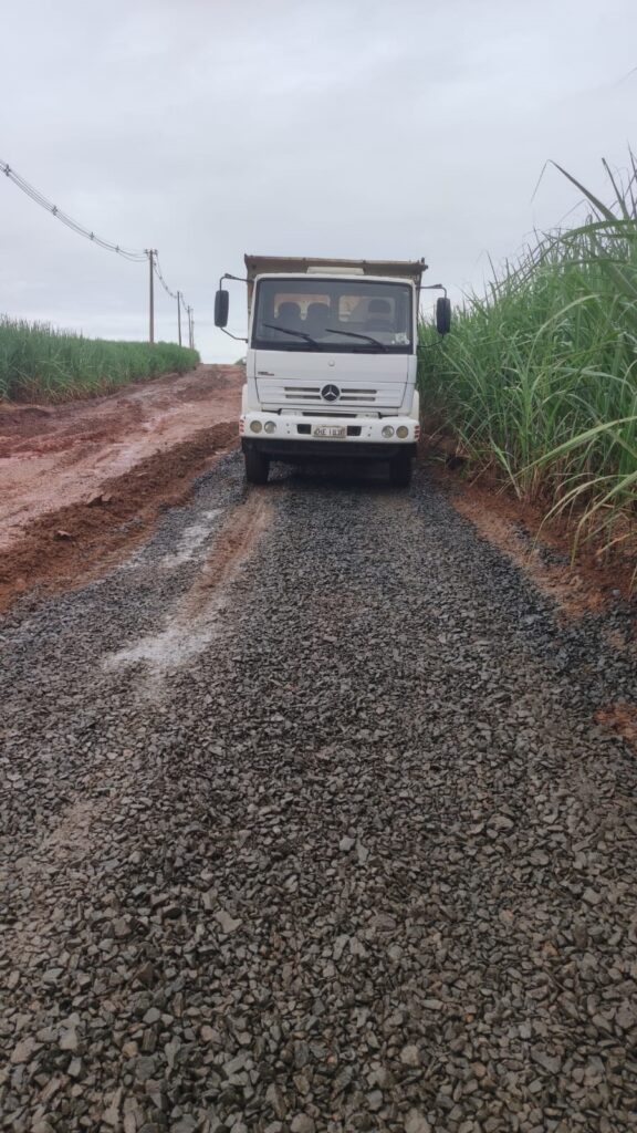 A imagem mostra um caminhão basculante branco da marca Mercedes-Benz trafegando em uma estrada rural estreita, coberta por uma camada de brita recentemente colocada. O caminhão está vindo em direção à câmera, ocupando a parte central da imagem. À direita da estrada, há um campo de cana-de-açúcar com plantas altas e verdes, enquanto à esquerda há uma faixa de terra úmida e alguns postes de energia elétrica ao longo da via. O céu está nublado, conferindo uma iluminação difusa e sem sombras fortes. O ambiente sugere uma área agrícola, possivelmente em uma região de cultivo de cana, com o caminhão provavelmente envolvido em atividades de transporte ou manutenção da estrada.