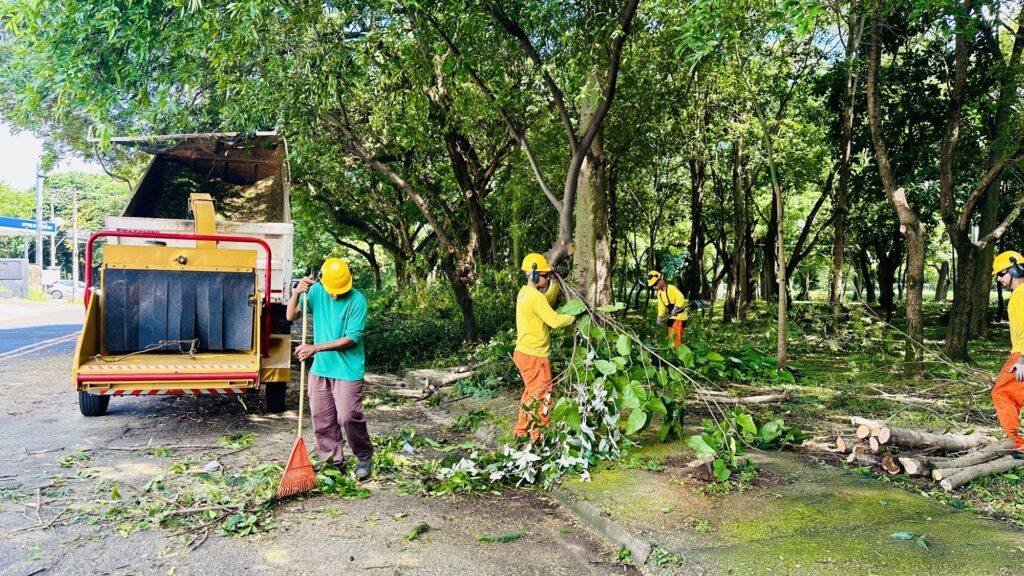 A imagem mostra um grupo de quatro trabalhadores realizando a manutenção e limpeza de árvores ao longo de uma estrada pavimentada, ao lado de uma área arborizada. Eles estão vestidos com uniformes de segurança, incluindo capacetes amarelos, roupas de alta visibilidade e protetores auriculares. Do lado esquerdo da imagem, um trabalhador usa um ancinho para recolher galhos e folhas caídas. Ao lado dele, há uma máquina picadora de madeira amarela, marcada com a palavra "FACCHINI", acoplada a um caminhão branco que está parcialmente carregado com resíduos de madeira triturada. Do lado direito, outros três trabalhadores estão manuseando galhos grandes e realizando o corte ou a limpeza das árvores. A vegetação ao redor é densa e verde, indicando um ambiente natural bem preservado. A luz do dia é forte, sugerindo que o trabalho está sendo feito pela manhã ou à tarde. No fundo, é possível ver uma placa azul com a palavra "IPIRANGA", que pode indicar a localização ou o nome da empresa responsável pelo serviço. A cena transmite uma sensação de trabalho organizado e seguro, com os profissionais atentos ao uso dos equipamentos de proteção individual.