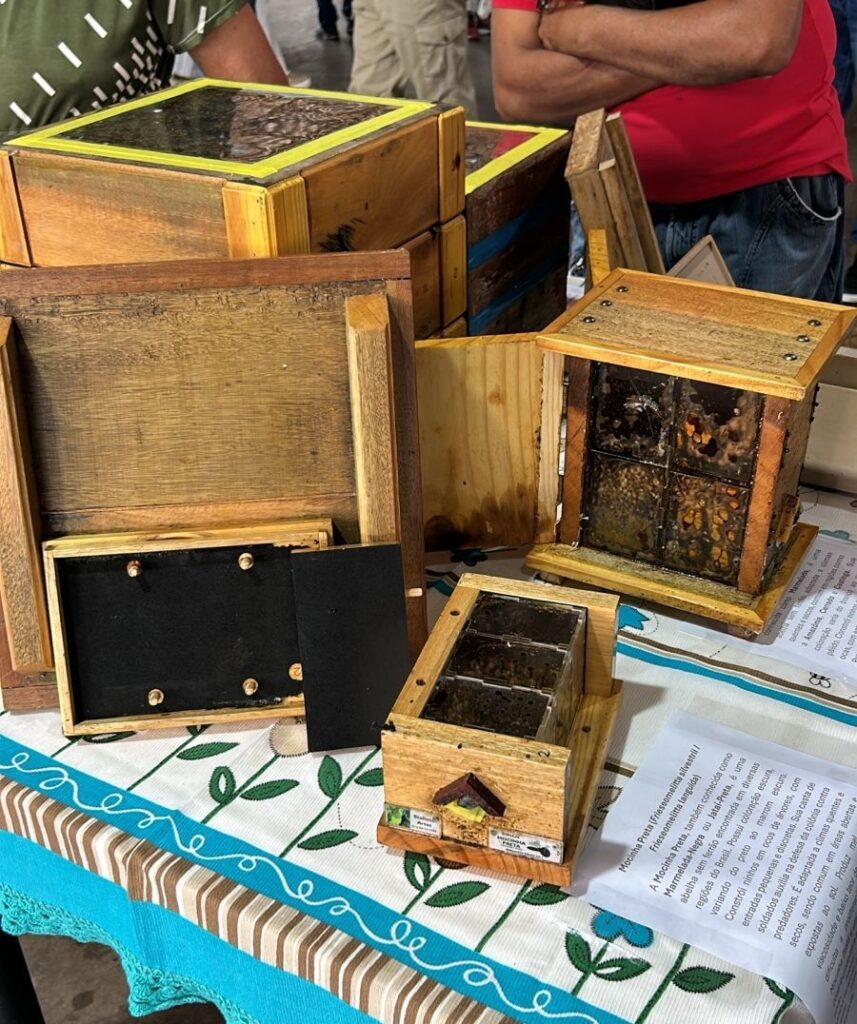 A imagem mostra uma exposição ou feira dedicada à meliponicultura, que é a criação de abelhas sem ferrão. No centro da imagem, há várias caixas de madeira especialmente construídas para abrigar colônias dessas abelhas. Algumas caixas têm painéis de acrílico transparente que permitem ver o interior, onde se observam os favos escuros e a estrutura do ninho. Uma das caixas tem um pequeno telhado decorativo, o que dá um charme artesanal ao conjunto. Ao fundo, algumas pessoas estão próximas às caixas, provavelmente visitantes ou expositores, vestindo roupas casuais. A mesa onde as caixas estão expostas é coberta por um tecido azul com estampas brancas, criando um contraste agradável com a madeira clara das caixas. Ao lado direito da imagem, há um cartaz informativo em português que fala sobre a espécie de abelha chamada "Mocinha Preta" (Frieseomelitta silvestrii ou Frieseomelitta languida). O texto destaca características da abelha, como seu habitat, aparência, defesa da colônia e o tipo de mel que produz. No geral, a imagem transmite uma atmosfera educativa e artesanal, com foco na preservação e conhecimento das abelhas nativas brasileiras.