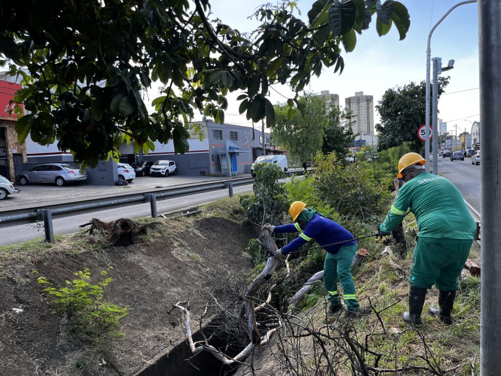 A imagem mostra dois trabalhadores usando capacetes de segurança e uniformes verdes enquanto realizam manutenção em uma área urbana. Eles estão puxando, com a ajuda de uma corda, um grande galho ou tronco caído de dentro de um canal de drenagem à beira da estrada. O cenário inclui uma rua pavimentada com carros estacionados, um guardrail e prédios comerciais ao fundo, além de árvores e vegetação próximas ao canal.