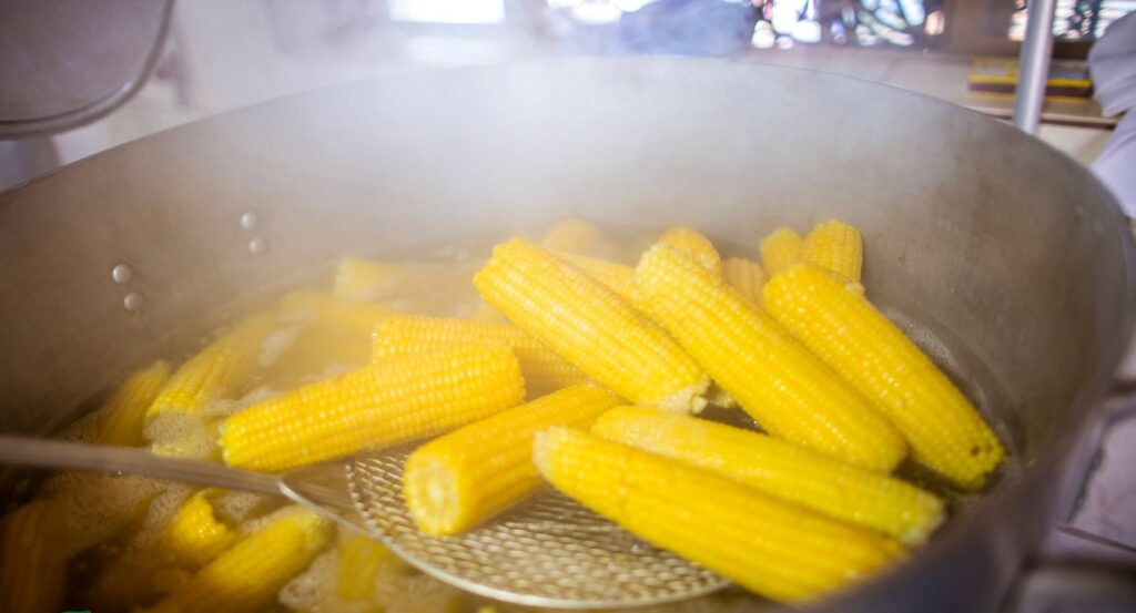 A imagem mostra várias espigas de milho amarelo vibrante sendo cozidas em uma panela grande de metal. A água está fervendo intensamente, com bastante vapor branco subindo, criando uma atmosfera quente e úmida. Uma escumadeira de metal está levantando algumas espigas da água, destacando os grãos bem formados e brilhantes do milho. O fundo está desfocado, sugerindo que a cena ocorre em uma cozinha ou local de preparo de alimentos. A luz suave que entra realça a cor amarela do milho e o vapor que envolve a cena, transmitindo uma sensação de frescor e sabor.