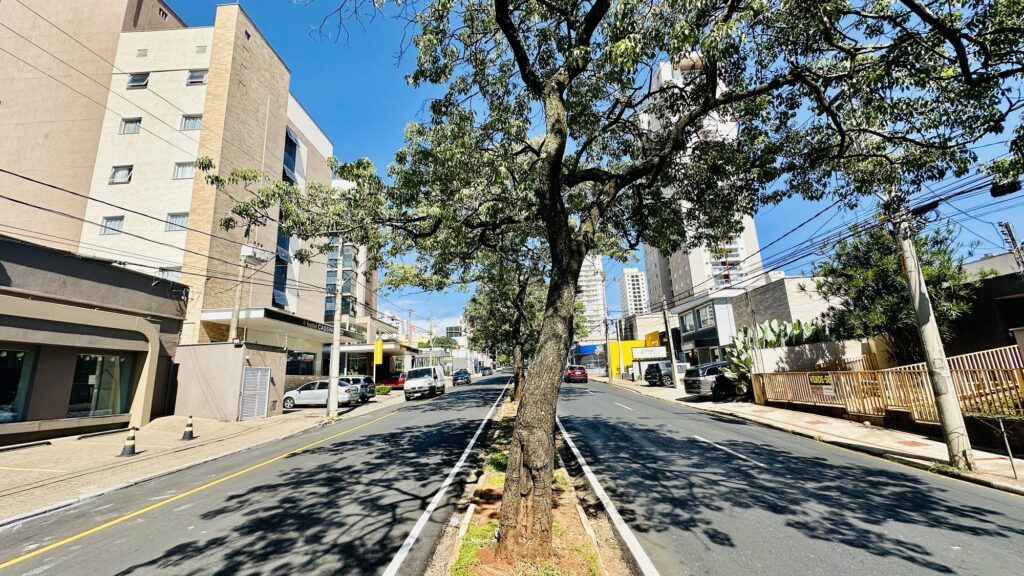 A imagem mostra uma cena urbana durante o dia, com céu azul claro e sol brilhando. No centro da imagem há uma árvore de porte médio, situada em um canteiro que divide uma rua de mão dupla. De ambos os lados da via, há calçadas e edifícios baixos, com fachadas em tons neutros, como bege, cinza e branco. À esquerda, destaca-se um prédio com a inscrição "hotel CASSINO". À direita, há uma placa amarela com os dizeres "VENDE-SE" e o logotipo da imobiliária "CENTURY 21", indicando que um imóvel está à venda. Mais ao fundo, pode-se ver um prédio amarelo com a palavra "PIRA". A rua tem alguns carros estacionados e em movimento, e postes com fios elétricos visíveis. A cena transmite uma atmosfera típica de um bairro urbano em uma cidade brasileira, em um dia ensolarado e tranquilo.