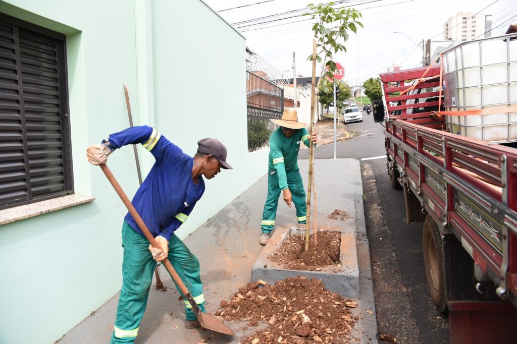 A imagem mostra duas pessoas trabalhando no plantio de uma árvore em uma calçada urbana. Um dos trabalhadores, vestindo camisa azul, calça verde com faixas refletivas amarelas e boné escuro, está usando uma pá para colocar terra no canteiro. O outro trabalhador, ao fundo, veste camisa verde e chapéu de palha, e está ajustando a árvore que está presa a estacas de bambu para suporte. O canteiro é uma estrutura retangular de concreto preenchida com terra escura. Ao lado, há uma rua onde está estacionado um caminhão vermelho carregado com grandes tanques de água brancos. Ao fundo, vê-se uma construção verde com uma janela de veneziana escura, além de postes, fios elétricos, semáforo e outros veículos. O cenário é urbano, durante o dia, com céu nublado. A imagem retrata uma atividade de paisagismo ou manutenção urbana.