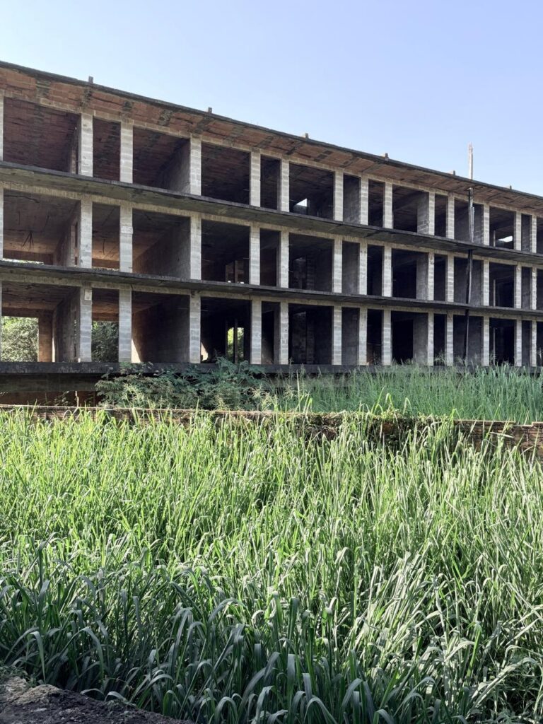 A imagem mostra um prédio inacabado, em construção, com a estrutura de concreto aparente e algumas paredes de tijolos expostas no último andar. O edifício tem várias janelas e portas retangulares abertas, sem vidros ou acabamentos, evidenciando que a obra ainda está em andamento. Em primeiro plano, há um campo denso de grama alta e verde, que cobre quase toda a parte inferior da imagem, criando um contraste entre a natureza e a construção inacabada. O céu está claro e azul, indicando um dia ensolarado. A composição da foto sugere uma sensação de abandono ou pausa na construção, com a natureza começando a tomar conta do espaço ao redor do edifício. Não há pessoas ou outros elementos visíveis na cena.