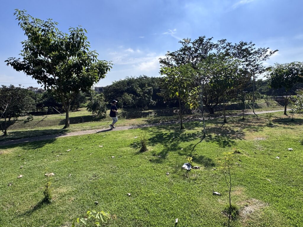 A imagem mostra um parque em um dia ensolarado, com céu azul e poucas nuvens brancas. No primeiro plano, há uma grande área de grama verde com algumas folhas caídas e várias árvores jovens. Uma pessoa está correndo por uma trilha pavimentada que atravessa o parque. Ao fundo, vê-se uma linha densa de árvores e, além delas, algumas construções urbanas ao longe. A luz do sol ilumina toda a cena, criando sombras definidas das árvores sobre a grama. A atmosfera é tranquila e transmite uma sensação de bem-estar e contato com a natureza.
