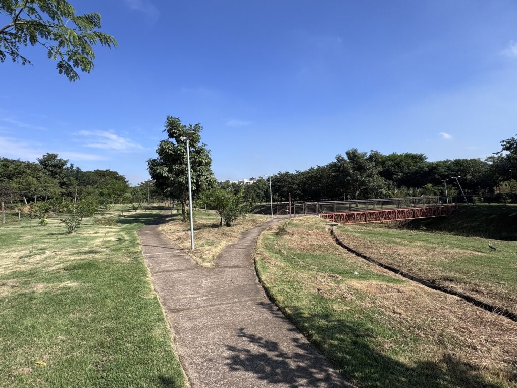 A imagem mostra um parque tranquilo em um dia ensolarado com céu azul e sem nuvens. No centro, há uma trilha de concreto que se divide em dois caminhos, cercada por gramado verde e algumas árvores. Ao fundo, vê-se uma ponte vermelha de metal que atravessa uma espécie de canal seco. A luz do sol é forte, criando sombras nítidas das árvores sobre o caminho. A cena transmite uma sensação de calma e beleza natural, com uma combinação harmoniosa entre elementos naturais e estruturas feitas pelo homem. Não há pessoas na imagem, reforçando a atmosfera de quietude.