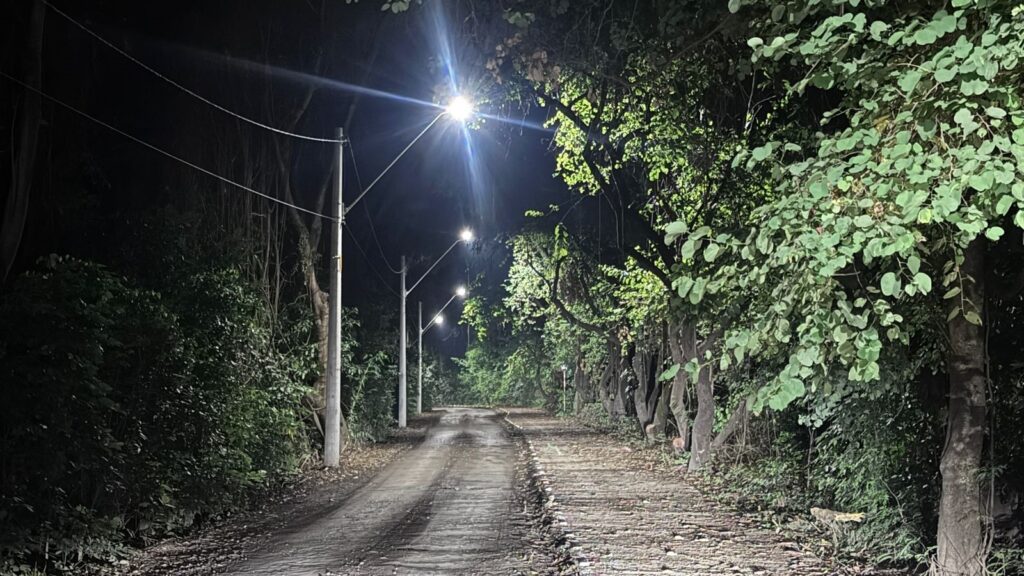 A imagem mostra uma estrada estreita e pavimentada, localizada em uma área rural ou semi-rural, durante a noite. A estrada é ladeada por vegetação densa e verde, com árvores altas à direita e arbustos à esquerda. Ao longo do lado esquerdo da estrada, há postes de concreto com luminárias de LED que emitem uma luz branca fria, iluminando a via e criando reflexos e sombras marcantes no chão. A vegetação à direita está parcialmente iluminada, mostrando detalhes das folhas e galhos. O chão ao lado direito da estrada parece ser feito de pedras ou blocos, enquanto o lado esquerdo é pavimentado. A atmosfera é tranquila e um pouco misteriosa, devido à iluminação dramática e ao cenário isolado.