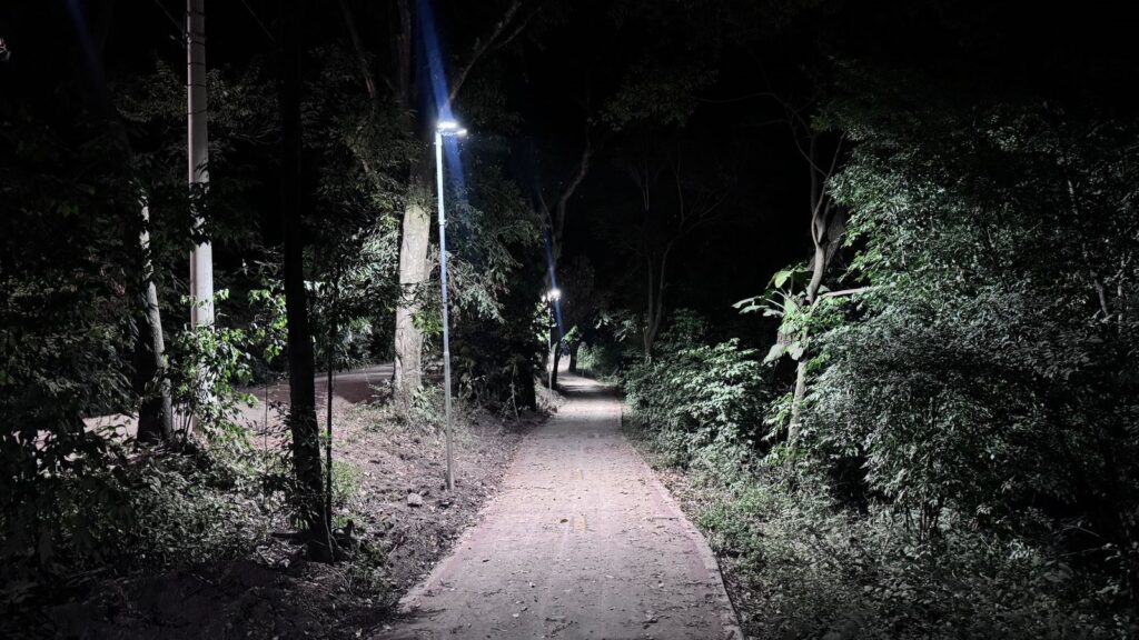 A imagem mostra uma trilha estreita e pavimentada que atravessa uma área densamente arborizada durante a noite. A cena é iluminada por uma série de postes de luz modernos com LEDs brilhantes, posicionados ao longo do lado esquerdo do caminho. A luz branca e fria destaca o caminho e a vegetação próxima, enquanto as áreas mais afastadas mergulham na escuridão. As árvores e arbustos são densos e suas folhas são visíveis sob a iluminação artificial. O chão está coberto por algumas folhas caídas. A perspectiva é centralizada e ao nível dos olhos, criando uma sensação de profundidade, com o caminho se estendendo em direção ao fundo escuro da imagem. O ambiente transmite uma atmosfera tranquila e solitária, típica de um parque ou trilha à noite.
