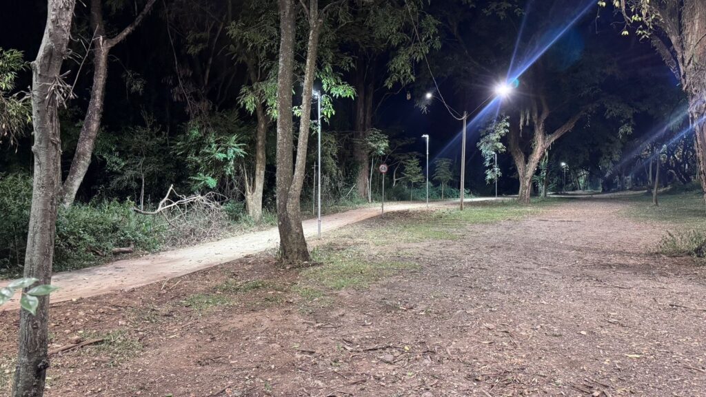 A imagem mostra um caminho em um parque ou área arborizada durante a noite. O caminho é de terra e cascalho, ladeado por árvores altas e densas. Várias luminárias de poste iluminam o local com uma luz artificial fria, criando pontos brilhantes ao longo do caminho e projetando sombras longas das árvores e arbustos. A iluminação destaca a textura do solo e dos troncos das árvores, enquanto o restante do ambiente permanece bastante escuro. No centro do caminho, há uma placa de trânsito redonda, possivelmente indicando uma restrição para bicicletas. A atmosfera da imagem é tranquila e silenciosa, transmitindo a sensação de um espaço natural urbano pouco movimentado durante a noite.