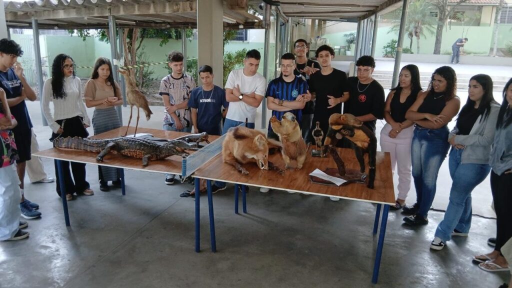 A imagem mostra um grupo de cerca de 15 adolescentes reunidos em um espaço coberto, que parece ser uma área escolar ou comunitária ao ar livre. Eles estão em torno de duas mesas que exibem espécimes taxidermizados. Na mesa da esquerda, há um jacaré grande e uma ave de pernas longas, possivelmente uma garça ou um socó. Na mesa da direita, estão expostos um lobo-guará, um pequeno mamífero que pode ser um quati ou um macaco, e outra ave. Os adolescentes usam roupas casuais, como camisetas, jeans e tênis, alguns com camisetas esportivas. O ambiente tem piso de concreto, cobertura de metal ondulado e paredes verdes ao fundo, com árvores visíveis, indicando que é dia. A cena transmite uma atmosfera de aprendizado e curiosidade, provavelmente durante uma aula ou atividade relacionada à biologia ou ciências naturais.