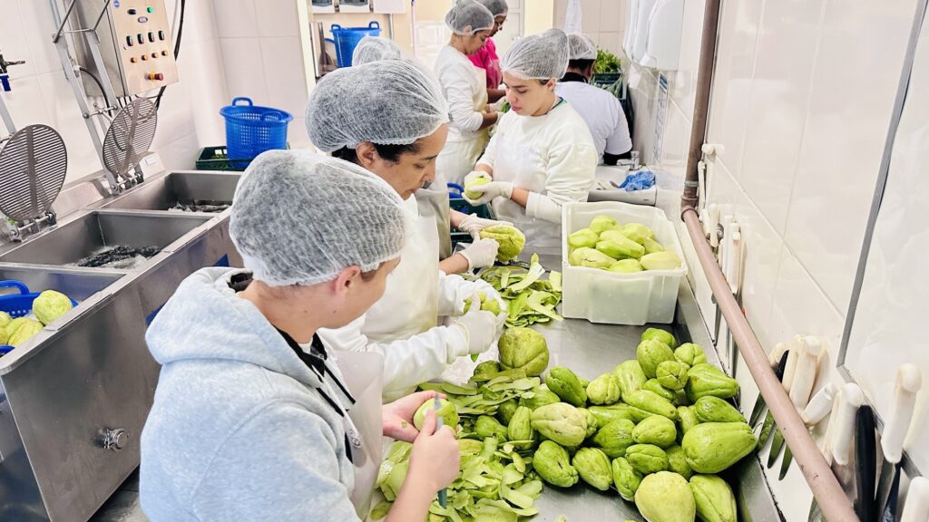 Esta imagem mostra uma cozinha industrial ou área de manipulação de alimentos onde uma equipe está trabalhando no processamento de chuchus. A Atividade: Várias pessoas estão focadas em descascar e preparar os chuchus. Elas estão usando toucas descartáveis, aventais e luvas brancas, mantendo padrões de higiene. O Trabalho: Há uma grande quantidade de chuchus frescos sobre a bancada de aço inoxidável. Uma pessoa em primeiro plano está descascando um chuchu com uma faca, enquanto outras ao lado fazem o mesmo processo. Há um recipiente plástico branco cheio de chuchus já descascados. O Ambiente: O local é organizado, com pias de aço inoxidável e azulejos brancos nas paredes, típico de cozinhas de refeitórios ou indústrias alimentícias, demonstrando um fluxo de trabalho em equipe.