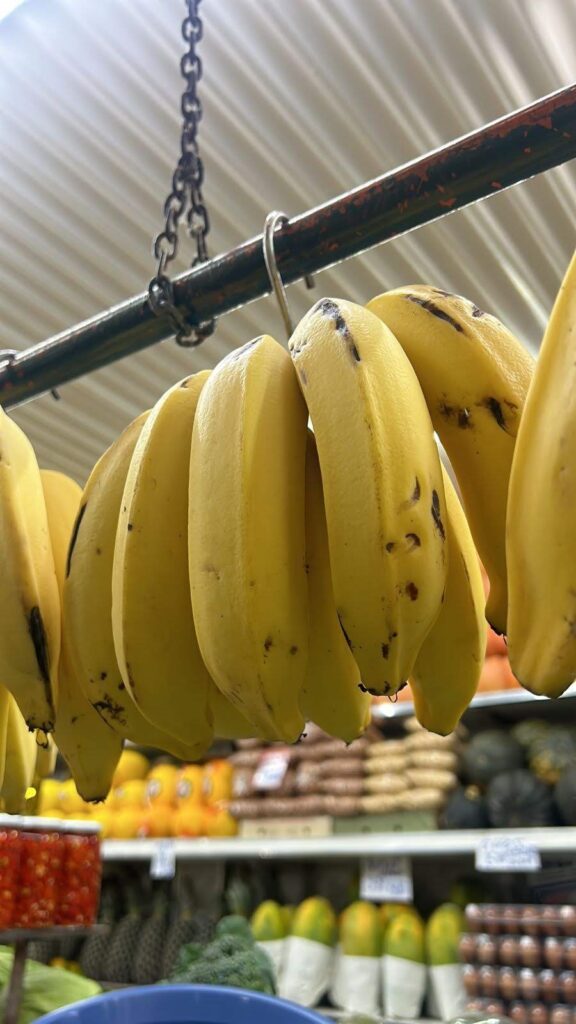 A imagem apresenta um plano aproximado de um cacho de bananas maduras pendurado em uma estrutura metálica, provavelmente em uma feira ou mercado. As bananas ocupam o centro da composição, exibindo uma coloração amarela vibrante com algumas manchas escuras características de maturação. * O cacho está suspenso por um gancho de metal preso a uma barra horizontal, que por sua vez é sustentada por correntes. * Ao fundo, fora de foco, é possível observar uma prateleira de mercado com diversos produtos, incluindo frutas como mamões e abacaxis, além de outros itens que sugerem um ambiente comercial de hortifrúti. * A iluminação é difusa, destacando a textura das cascas das bananas e criando um contraste suave com o fundo desfocado.