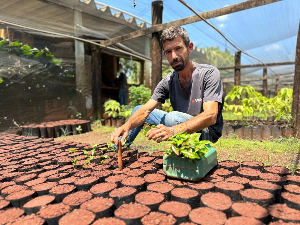 Esta foto mostra um homem trabalhando em um viveiro de plantas ou estufa. Ele está agachado no chão, cuidando de várias mudas que estão plantadas em saquinhos pretos organizados em fileiras. O homem segura uma pequena ferramenta de plantio e está mexendo na terra de um dos saquinhos. Ao lado dele, há um recipiente verde reaproveitado, contendo outras mudas. O ambiente é coberto por uma tela de sombreamento, o que permite a entrada de luz solar filtrada, criando condições ideais para o cultivo das plantas. Ao fundo, pode-se ver mais vegetação, reforçando a ideia de um local dedicado ao cultivo agrícola ou reflorestamento.