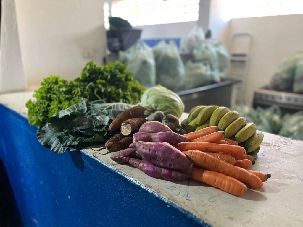 bancada ou balcão interno com hortaliças e raízes em primeiro plano; ao fundo ambiente interno com sacos plásticos cheios (possivelmente de verduras), janela alta deixando entrar luz e estrutura simples de depósito/mercado comunitário. Hortaliças e alimentos (primeiro plano, nítido): Bananas pequenas (tipo prata) agrupadas à direita. Cenouras alaranjadas empilhadas à frente. Tubérculos roxos (batata‑doce ou inhame roxo) em primeiro plano central. Mandioca/cassava cortada e inteira, de cor marrom, atrás dos tubérculos. Folhas verdes escuras grandes (possivelmente couve ou repolho) e um maço de salsinha ou cheiro‑verde encaracolado à esquerda. Uma cabeça de repolho claro posicionada mais ao centro. Textura e cores: cores vivas — verdes intensos das folhagens, roxos e alaranjados saturados dos tubérculos e cenouras, amarelo‑esverdeado das bananas. Superfície da bancada é de concreto pintado de branco com laterais azuis. Composição e foco: profundidade de campo curta — alimentos em primeiro plano em foco nítido; fundo desfocado com sacos e objetos, sugerindo armazém ou centro de distribuição. Foto em grande formato horizontal, ângulo levemente inclinado. Iluminação e ambiente: iluminação natural suave vinda de janelas altas; ambiente interno claro, com sensação de local de preparo/entrega de alimentos (feira, cozinha comunitária ou banco de alimentos).