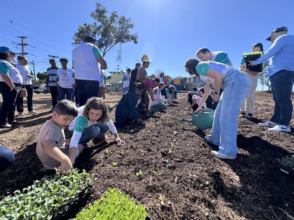 A foto mostra um grupo de pessoas de diversas idades, incluindo crianças e adultos, participando de uma atividade de plantio coletivo em um terreno ao ar livre em um dia muito ensolarado. Aqui estão os detalhes principais: A Ação: O grupo está abaixado no chão, plantando mudas em fileiras bem definidas no solo preparado. No primeiro plano, à esquerda, uma mulher ajuda um menino pequeno a plantar as mudas. À direita, uma mulher de jeans e camiseta branca com mangas verdes usa um regador verde para hidratar as mudas recém-plantadas. Outras pessoas ao fundo também estão agachadas, envolvidas na tarefa de cultivo. Os Participantes: Muitos deles vestem camisetas brancas com detalhes em verde, uniformizados, indicando a participação em um projeto ou ação social (como o "Dia de Cooperar"). O Ambiente: É um campo aberto sob um céu azul, límpido e muito brilhante. Ao fundo, vê-se uma estrutura de cercas ou muros, postes de energia elétrica e vegetação arbórea, sugerindo um espaço urbano ou periurbano sendo transformado em horta comunitária. Clima: A cena é de cooperação, aprendizado e cuidado com a terra, com uma iluminação solar intensa que cria sombras marcadas no chão.