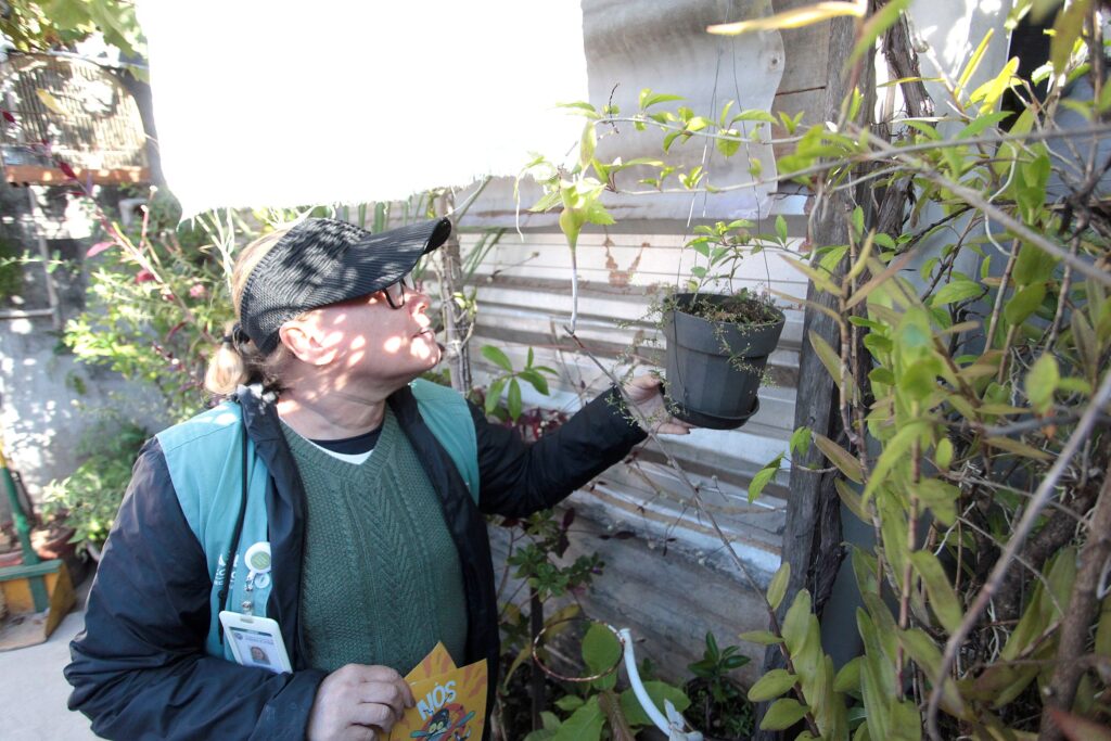Uma pessoa de meia-idade, vestindo um colete, examina atentamente um pequeno vaso de plantas suspenso em um ambiente externo ensolarado, demonstrando dedicação ao cuidar da vegetação ao seu redor. A composição da cena é focada na interação entre o indivíduo e a planta, com o sujeito posicionado à esquerda e estendendo o braço direito para tocar ou observar o vaso pendurado. O enquadramento é em plano médio, capturando o perfil da pessoa e parte do cenário ao fundo, que inclui paredes de metal ondulado e vegetação variada. A dinâmica é tranquila e observadora, sugerindo uma inspeção cuidadosa em um ambiente doméstico ou de trabalho voltado ao cultivo de plantas. O sujeito principal é uma pessoa com cabelos claros presos, usando um boné preto, óculos e um colete azul-esverdeado sobre uma blusa de lã verde. Sua expressão é de concentração, com o olhar voltado para cima em direção ao vaso. Na parte frontal do colete, é visível um crachá de identificação, indicando uma possível atividade profissional ou voluntária. Suas mãos aparecem segurando o vaso e um pequeno folheto informativo com a palavra "NÓS", reforçando a natureza educativa ou assistencial da cena. A imagem é uma fotografia digital de estilo documental, caracterizada por uma iluminação natural intensa que cria contrastes marcantes entre as áreas banhadas pelo sol e as sombras projetadas. A execução técnica privilegia a clareza dos detalhes, como a textura das folhas, as fibras do colete e os elementos do ambiente, mantendo um foco nítido no sujeito. As escolhas criativas refletem um registro cotidiano, com cores naturais que ressaltam os tons terrosos e verdes do ambiente, transmitindo uma sensação de proximidade e cuidado com a natureza. O cenário é um espaço ao ar livre, possivelmente um quintal ou uma pequena área de horta, com paredes de zinco que conferem um aspecto rústico. A iluminação solar direta cria reflexos e sombras, intensificando a luminosidade na parte superior e criando um clima de claridade intensa. O ambiente é complementado por diversos vasos e plantas trepadeiras que circundam o local, contribuindo para uma atmosfera de tranquilidade e interação humana com o meio ambiente, onde a luz natural atua como um elemento que destaca a vivacidade das plantas e a atenção dedicada pelo indivíduo ao seu entorno.