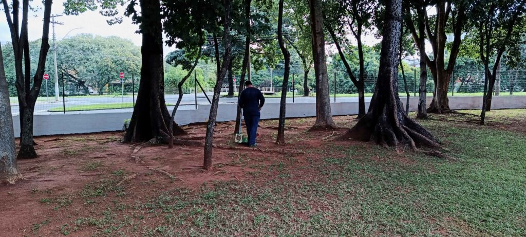 A imagem mostra uma cena ao ar livre, possivelmente em um parque ou área pública arborizada. Aqui estão os detalhes principais: Ação: Ao centro, uma pessoa vestida com roupas escuras está trabalhando na limpeza do terreno, utilizando uma vassoura ou ferramenta semelhante para varrer o chão. Ambiente: O espaço é cercado por árvores grandes com troncos robustos e raízes aparentes. O solo é uma mistura de terra batida (avermelhada) e grama. Fundo: Ao fundo, há uma cerca de arame delimitando o espaço, com uma mureta branca baixa. Além da cerca, é possível ver uma rua ou via pública, com sinalização de trânsito (placas de "Pare") e vegetação adicional. Atmosfera: O dia parece nublado ou com luz difusa, transmitindo uma sensação de um momento de trabalho de manutenção em um espaço público tranquilo.