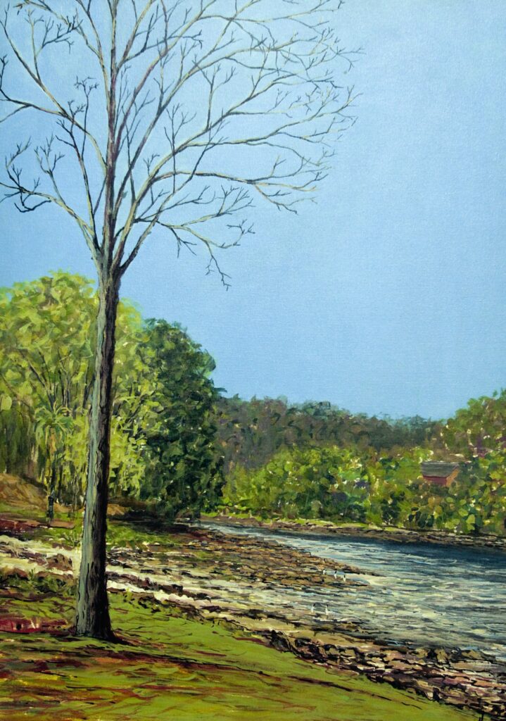 A imagem é uma pintura a óleo de uma paisagem natural, com clima tranquilo e luz de dia claro.Detalhes da cena:Primeiro plano: À esquerda, uma árvore alta e sem folhas domina a composição. O tronco é escuro e os galhos finos se espalham contra o céu. Abaixo dela, uma grama verde com manchas de terra e pedras, formando a margem de um rio.Rio: Ocupa o centro-direito da tela. A água é movimentada, com reflexos de luz branca e tons de azul e cinza. As margens são rochosas, com pedras aparentes.Fundo: Do outro lado do rio tem bastante vegetação. Árvores verdes de diferentes tons, com pinceladas soltas que dão textura às folhas. Entre as árvores, quase escondida, dá pra ver o telhado de uma casa pequena de cor avermelhada. Ao fundo, uma linha de mata mais densa.Céu: Limpo, em tom de azul claro, ocupando quase metade da tela e passando sensação de amplitude.Técnica: Pinceladas visíveis e expressivas, típicas do impressionismo. As cores são vivas: verdes, azuis e terrosos. A luz parece de meio de manhã ou início de tarde.A obra transmite calma e contato com a natureza. O contraste entre a árvore seca na frente e a mata verde ao fundo dá um equilíbrio entre rusticidade e vida.