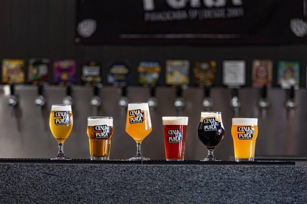 Linha de copos com diferentes cervejas sobre o balcão de um bar. Detalhes observáveis: Composição: seis copos alinhados em primeiro plano, cada um com o logo “CEVA DA PURA” na frente. Ao fundo, fileira de torneiras de chope desfocadas e placas coloridas das cervejas. Variedade visual: tons que vão do dourado claro ao âmbar, vermelho profundo e negro — mostra diferentes estilos (claras, âmbar, vermelhas e uma escura/porter ou stout). Espuma: cada copo tem camada de espuma no topo, variando de fina a cremosa, indicando carbonatação e serviço recente. Tipos de copo: mistura de formatos (tulipa, pint e copos altos tipo weizen) que ajudam a valorizar aromas e apresentação das diferentes cervejas. Ambiente e iluminação: fundo escuro e desfocado com iluminação suave sobre os copos, destacando cores e brilho dos líquidos; superfície do balcão reflexiva em primeiro plano. Atmosfera: sensação profissional e convidativa — degustação, serviço por torneira ou flight de cervejas artesanais para comparação.
