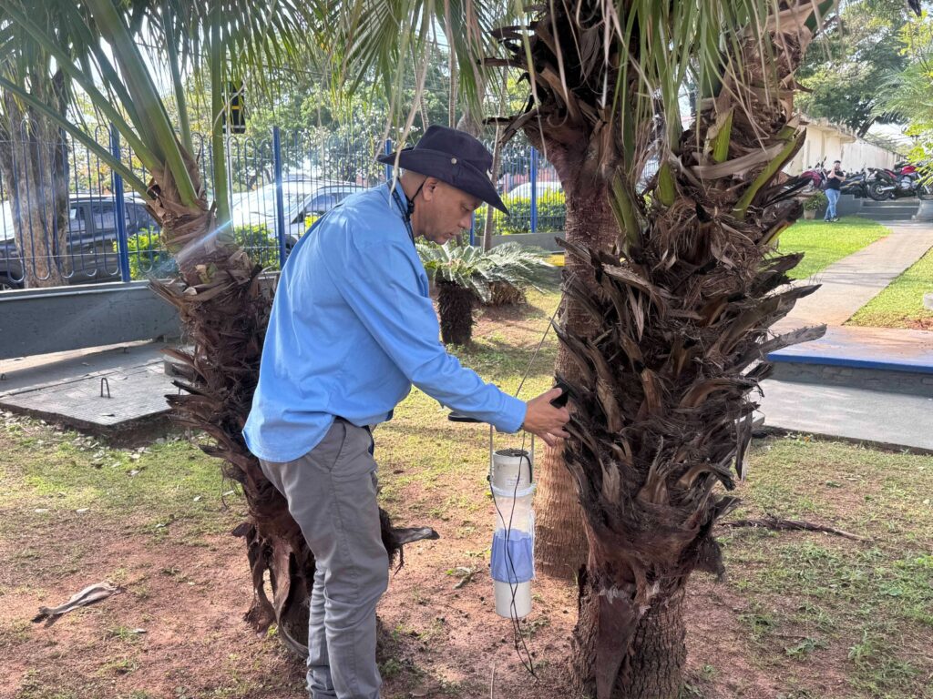Um homem de meia-idade, vestindo uma camisa azul clara e um chapéu escuro, inspeciona cuidadosamente um dispositivo de monitoramento fixado ao tronco de uma palmeira em um parque ensolarado. A composição da cena destaca o homem em perfil, posicionado entre duas palmeiras robustas, criando um equilíbrio visual que guia o olhar para a interação entre ele e o equipamento técnico. O homem está ligeiramente curvado, focado na tarefa manual de ajustar ou examinar o dispositivo pendurado, enquanto a câmera mantém um enquadramento plano que abrange tanto o sujeito quanto o ambiente imediato, proporcionando clareza sobre a ação realizada no espaço ao ar livre. O sujeito principal é um homem de tom de pele pardo, apresentando uma expressão de concentração séria enquanto trabalha. Ele usa um chapéu de abas largas estilo fedora de cor escura, uma camisa de mangas compridas de botão em tom azul celeste e calças cáqui. Suas mãos estão posicionadas sobre o tronco da árvore e sobre um recipiente cilíndrico de plástico branco pendurado por cordas, sugerindo que o item é uma armadilha ou um coletor de amostras biológicas fixado na casca fibrosa e áspera da palmeira. Esta é uma fotografia digital capturada com luz natural, caracterizada por um foco nítido e cores equilibradas que retratam a realidade do ambiente de trabalho de campo. O estilo é documental e direto, evitando artifícios, priorizando a representação fiel do momento técnico. A nitidez na textura do tronco da palmeira, com suas fibras secas e marrons, contrasta com o tecido suave da vestimenta do homem, revelando uma execução técnica competente que prioriza a clareza dos detalhes sobre a estilização excessiva. O cenário é um parque ou área pública ajardinada sob a luz clara e difusa do dia. O solo ao redor da base das árvores é de terra batida com vestígios de vegetação rasteira, enquanto, ao fundo, percebe-se um gramado bem cuidado, uma grade de proteção, veículos estacionados e o movimento discreto de outras pessoas ao longe. A iluminação é natural e abundante, vinda de cima, o que cria sombras suaves sob as árvores e enfatiza a atmosfera serena e funcional de um dia de trabalho ao ar livre, estabelecendo um clima de pesquisa científica ou manutenção ambiental.