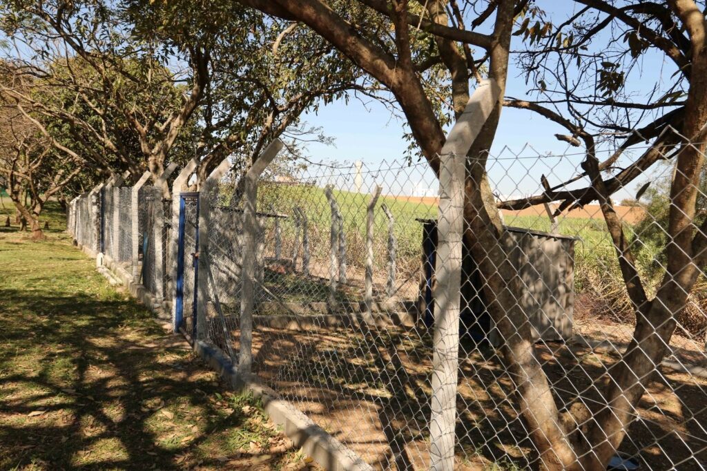 A imagem mostra uma área rural cercada por telas de arame e postes de concreto. Há árvores grandes projetando sombra sobre o chão, que está coberto de folhas secas. Dentro da cerca, vê-se um pequeno espaço com vegetação e estruturas simples. Ao fundo, há um campo verde, uma faixa de terra avermelhada e um céu azul claro.