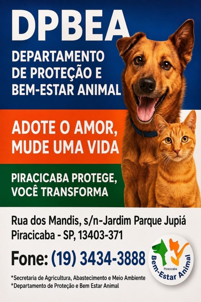 O cartaz divulga o DPBEA — Departamento de Proteção e Bem-Estar Animal de Piracicaba. A imagem mostra um cachorro marrom e um gato laranja. A mensagem principal é: “Adote o amor, mude uma vida”. Também aparece o slogan: “Piracicaba protege, você transforma”. Endereço: Rua dos Mandis, s/n — Jardim Parque Jupiá, Piracicaba — SP, 13403-371. Telefone: (19) 3434-3888. O cartaz é ligado à Secretaria de Agricultura, Abastecimento e Meio Ambiente e ao Departamento de Proteção e Bem-Estar Animal.