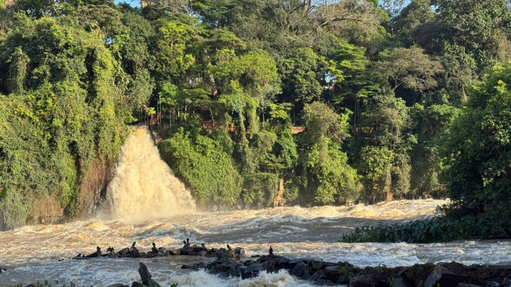 A imagem mostra uma cachoeira despejando grande volume de água em um rio de correnteza forte, cercada por vegetação densa e árvores altas.