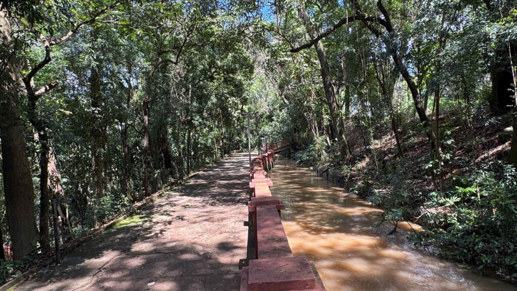 A imagem mostra uma trilha pavimentada em meio a uma área de mata densa. Ao lado do caminho, há um canal estreito com água corrente de coloração amarronzada, separado por um guarda-corpo vermelho.