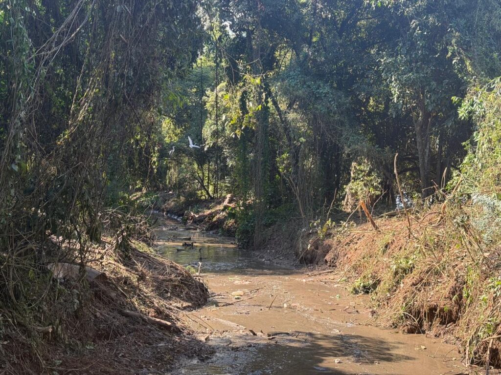A imagem mostra um trecho de canal em uma área de mata, cercado por árvores, cipós e vegetação densa. A água corre por um leito estreito com margens de terra exposta, indicando uma área natural ou recuperada.