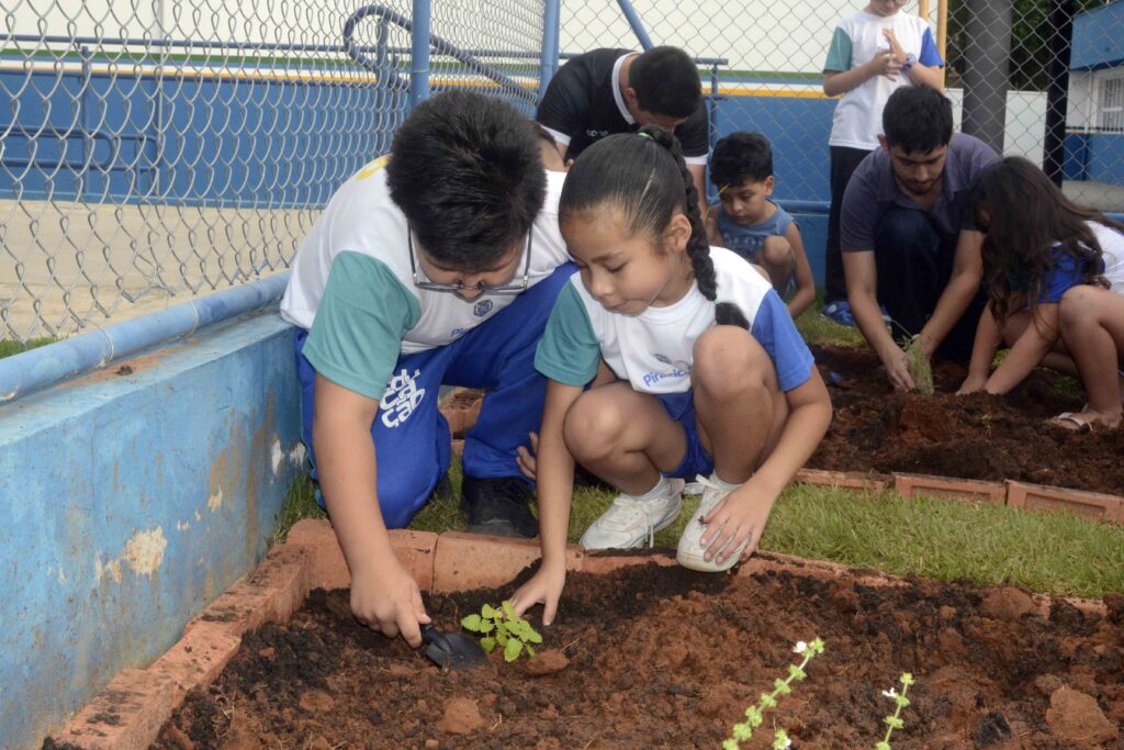 Dois alunos com o uniforme escolar da rede municipal de Piracicaba estão agachados num canteiro de terra, a plantar cuidadosamente uma pequena muda com a ajuda de uma pá de jardinagem. Ao fundo, outros colegas e adultos também participam na atividade.
