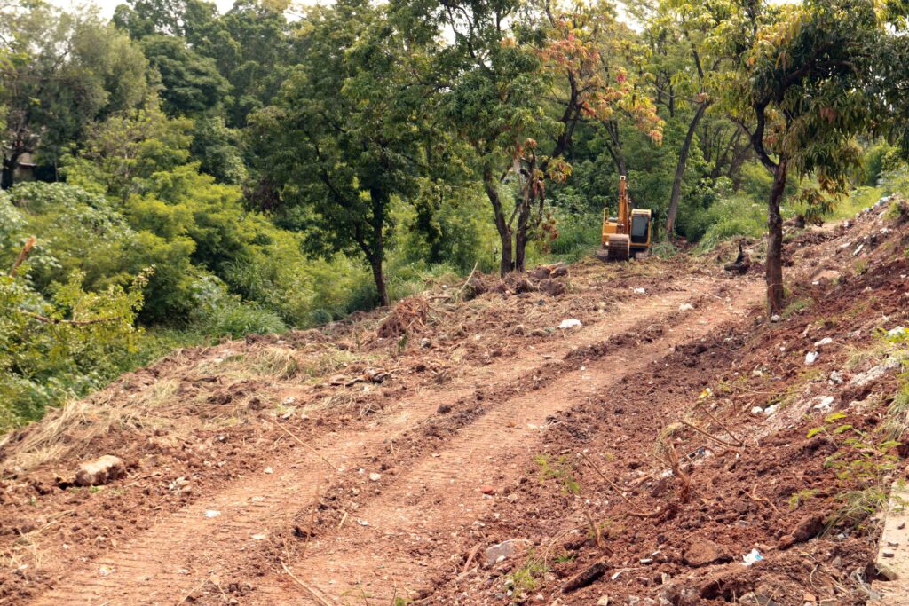 Uma escavadora amarela opera num terreno inclinado de terra batida, cercado por árvores, a realizar trabalhos de remoção e limpeza de resíduos.